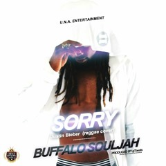 Justin Bieber - Sorry Buffalo Souljah(Cover)