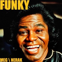 MEG \ NERAK - FUNKY (JAMES BROWN TRIBUTE)