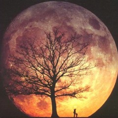 LauterBach - What's Going On In This World