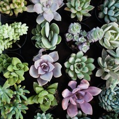 Work Out Music // 135 BPM