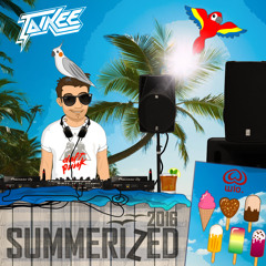 Taikee - Summerized 2016