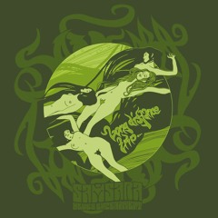 Samsara Blues Experiment - Center of the Sun