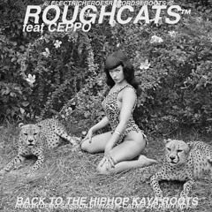 ROUGHCATS® feat. CEPPO – "Back To The Hip Pop Kaya Roots" (fatspace Session ZH, 2015)