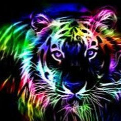 Dj - Flashpower remix netsky higher