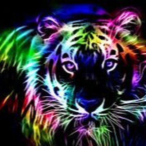 Dj - Flashpower remix netsky higher