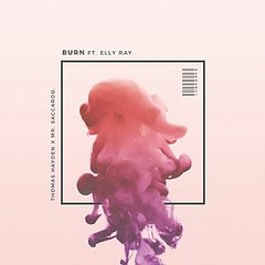Thomas Hayden, Mr. Saccardo - Burn (Ft. Elly Ray) (MrSentry Remix) - REMIX COMPETITION