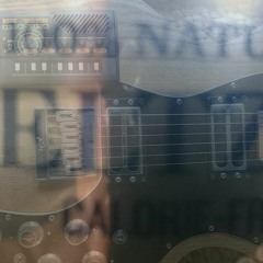 Seltzer Flux - Internet Beach