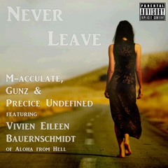 Never Leave ft. M-acculate, Gunz & Precice Undefined & Vivian Eileen Bauernschmidt