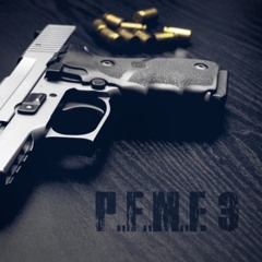 ALA Ft Hazard P.F.M.E 3