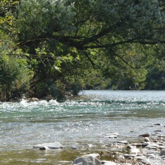 Project 24 - Riverside