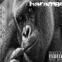 Dicks Out For Harambe