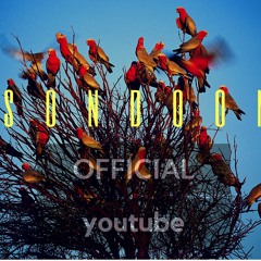 THE CALL REMIX  X     LIGHT IT UP