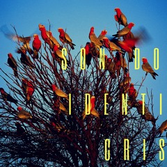 SON DOOM - IDENTITY CRISIS