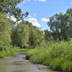 Dupuyer Creek