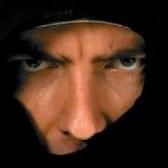 The Ninja Song