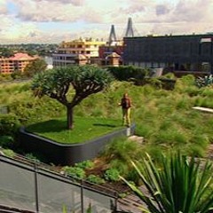 Greening our concrete jungles