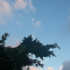 BIG DISGRACE - R.Zee Jackson