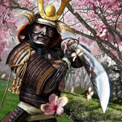 AIM - The Ancient Warrior