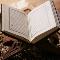Raad Muhammed Al Kurdi (رعد محمد الكردي) _ Surah Ar-Rum  سورة الروم (33-50)
