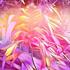 Learning To Love Again (demo)