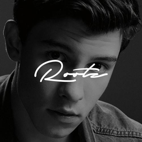 Stream Shawn Mendes Treat You Better ( Instrumental ) by Rootz