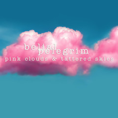 Pink Clouds & Tattered Skies
