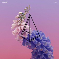 Flume - Wall Fuck (Andrew Lundeen Flip) (FREE DOWNLOAD)