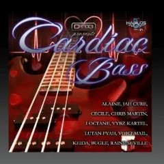 Cardiac Bass Riddim 2010 Mix - Dj Smilee