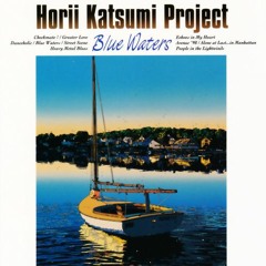 Hori Katsumi Project : AVENUE '98