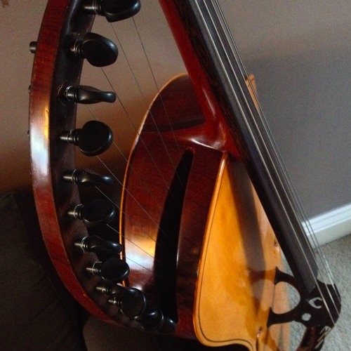 Beestaara 20 stringed "Indian Cello" sample (layered, no EQ or reverb)