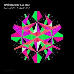 Samantha Harvey - Wonderland (Jay Brand Russell Remix)