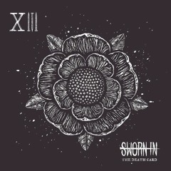SWORN IN - SNAKE EYES