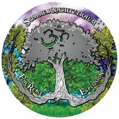Renegade DJ :: ForRest Explosion :: June 2016