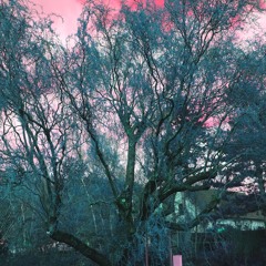 Autumn Leaves (VeroKeine & Sallywerber)