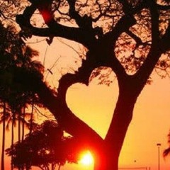 Love is a Verb Cover
