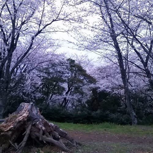 Be Easy (Live at Carnet)