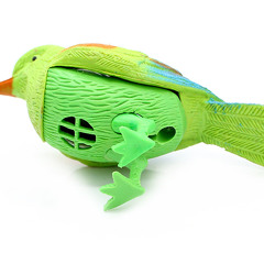 chIRP (24hr Start to Master-A challenge)