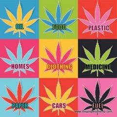 Cosmic Vibe - Endocannabinoid System (FREE DOWNLOAD)