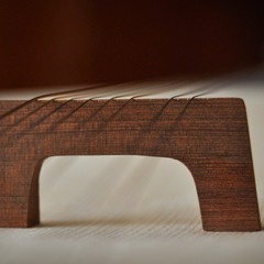 Uşşak Tanbur Taksimi  -  Deniz Şahin