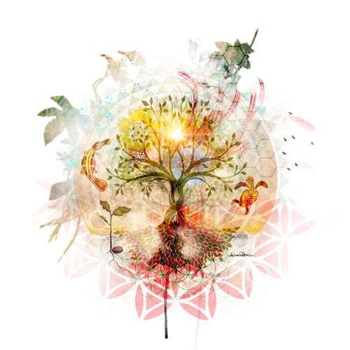 Watasuni - The Message @ Tree Psyde 2016 [Free Download]