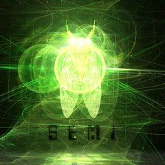 SEMI（Cicada）