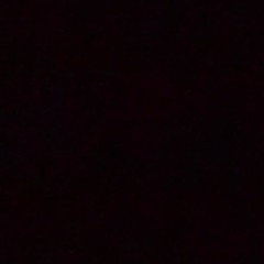 سيد هاني الوداعي - السيدة رقية ..