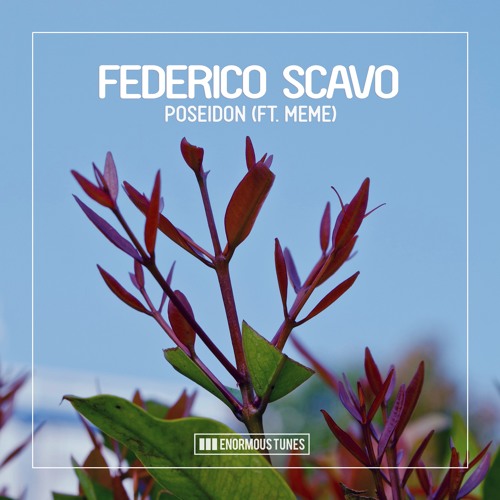Federico Scavo "Poseidon Ft.Meme" Original Mix - Enormous Tunes