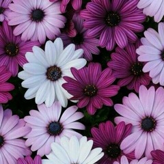 heathens (with percussion) cover twenty one pilots