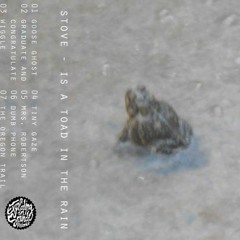 stove - the oregon trail