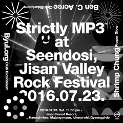 모임 별 Byul.org - 20160723 DJ Set at Seendosi, Jisan Valley Rock Festival