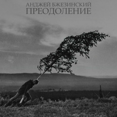Анджей Бжезинский – Вывод