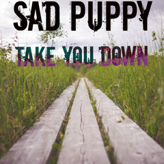 Sad Puppy - Take You Down (Radio Edit)