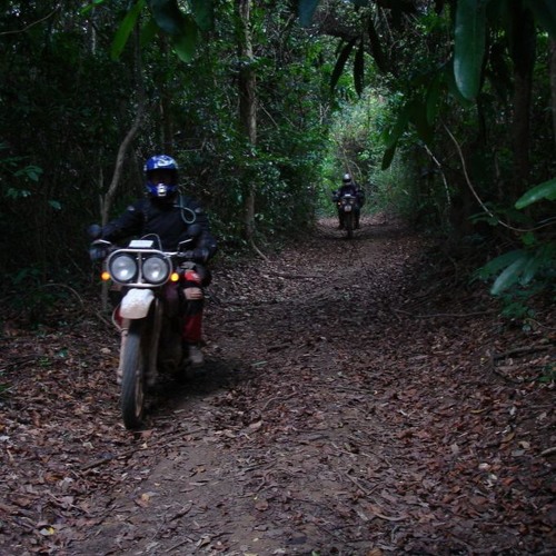 Streets Of Rage Remake V5 - Jungle Base