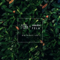 between u & i w. amani fela